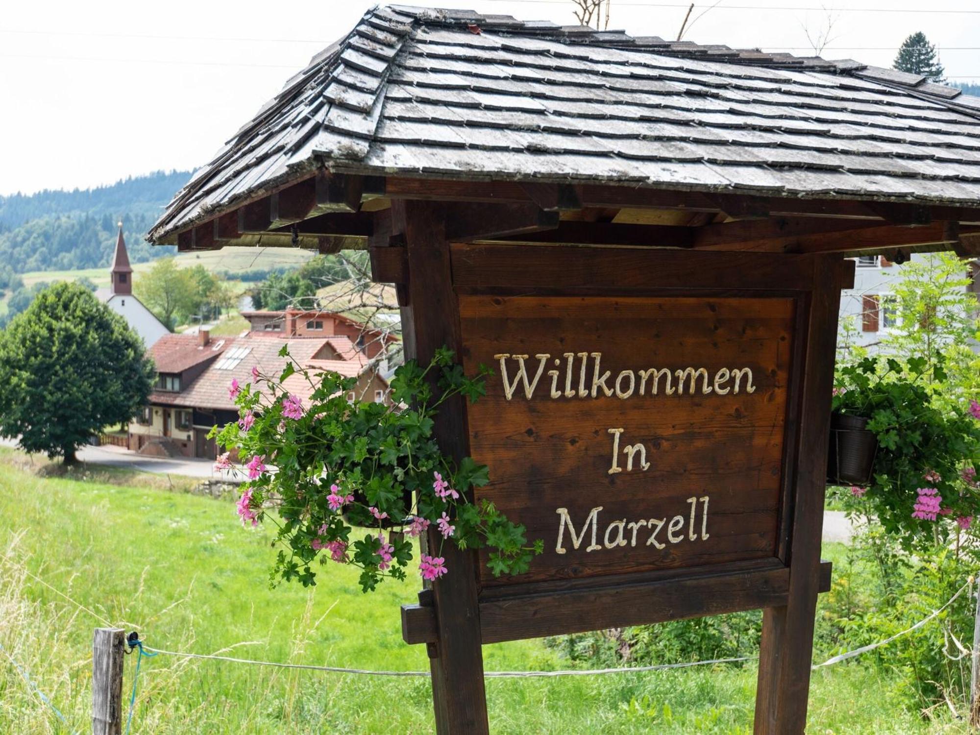 Apartment In Malsburg Marzell With Private Garden Luaran gambar